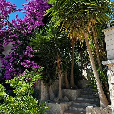 Holiday home Hortensia